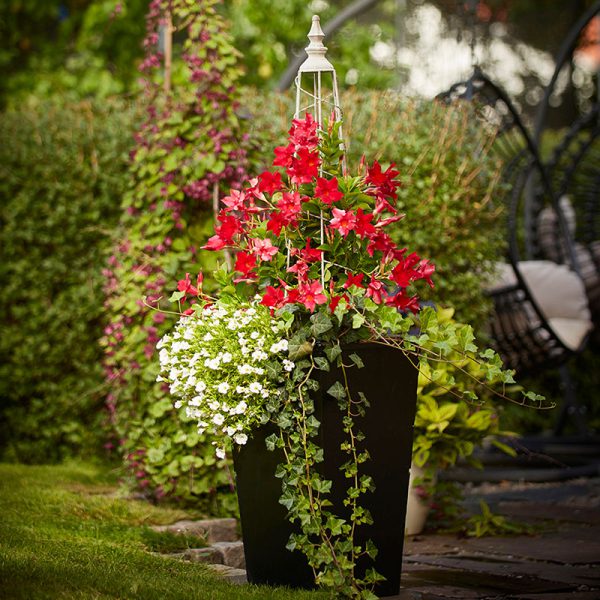 Emperi Entrélåda Liten Svart - Bild 4