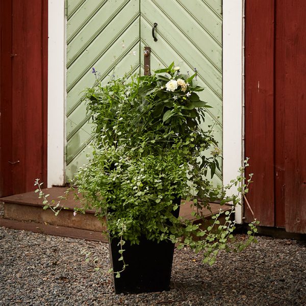 Emperi Entrélåda Liten Svart - Bild 6