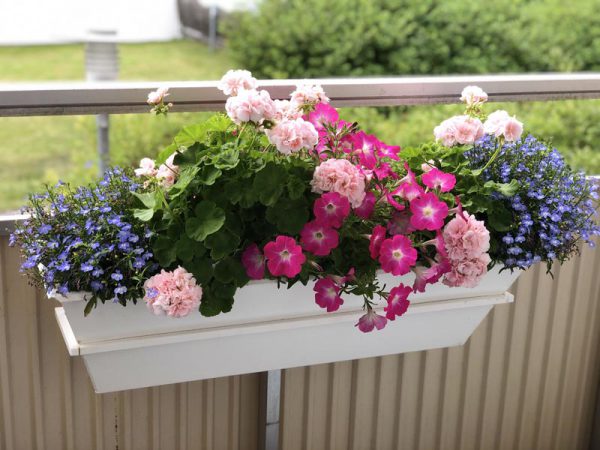 Emperi Balkong 9020 Svart - Bild 4