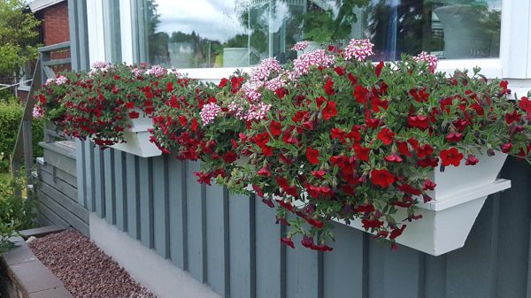 Emperi Balkong 9020 Svart - Bild 2